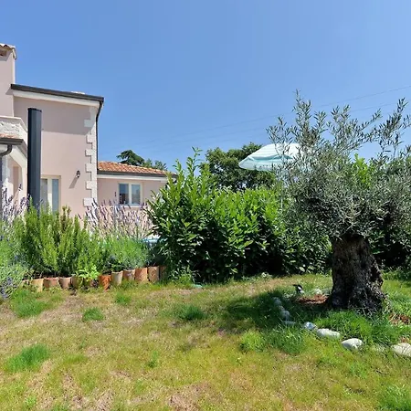 Mit Privatpool Fuer 8 Personen Ca 150 Qm In Vrznaveri, Istrien Istrische Riviera Hébergement de vacances *
